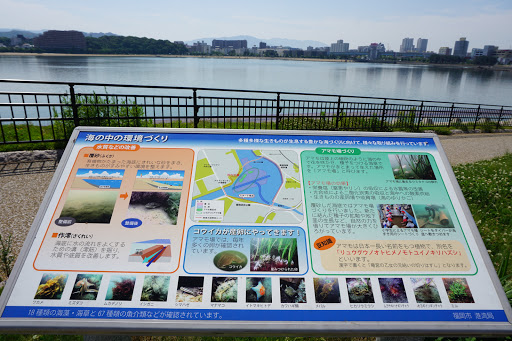 Google Maps