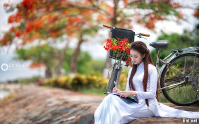 Cánh hoa phượng buồn- Nhật Quang Cánh hoa phượng buồn- Nhật Quang