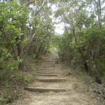 Stairs into Valley of the Waters from Conservation Hut (7301)