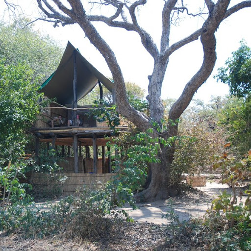 South Luangwa National Park