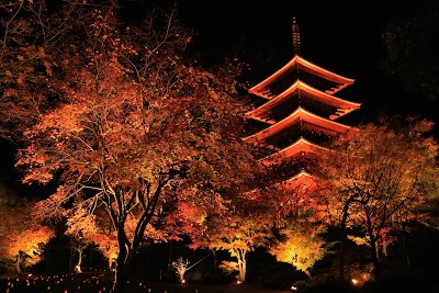 Photos of Nariai-ji Temple