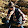 Benoît Lété Benoît Lété's profile photo