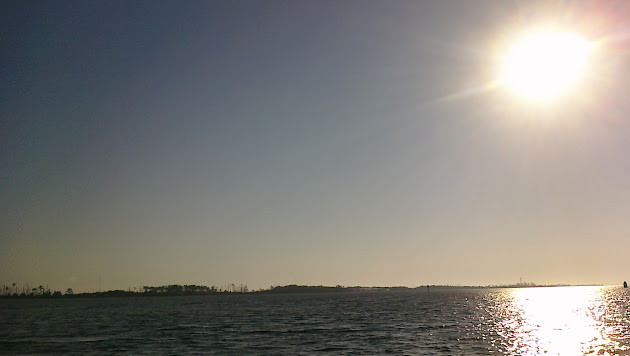 Cover photo