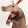 Angus Marshall Angus Marshall's profile photo