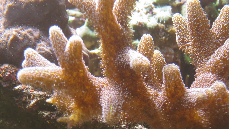 IMG_0136.JPG