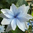 Chris C. avatar image
