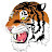 Tigran N avatar image