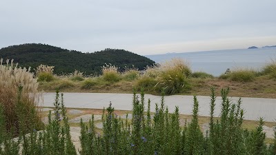 Photos of South Cape Owners Club