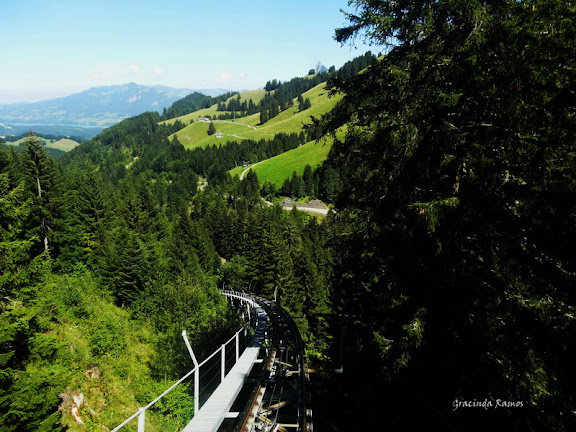 2012 - Passeando pela Suíça - 2012 - Página 16 DSC05902