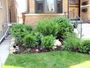 Even a small, inexpensive rain garden can significantly reduce flooding and runoff