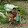 Francisko Ernandes Francisko Ernandes's profile photo