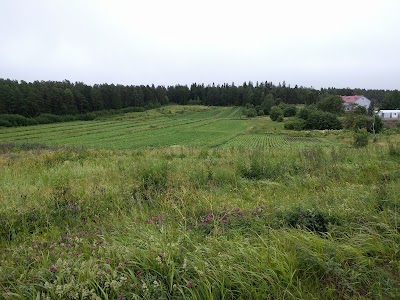 lodging
