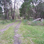Trail leading through campsite