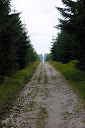 Obrazek