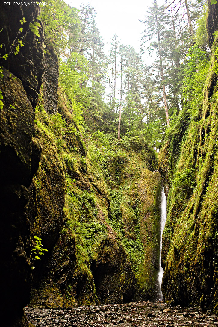 Oneonta Gorge Trail // Best Hikes in Oregon.