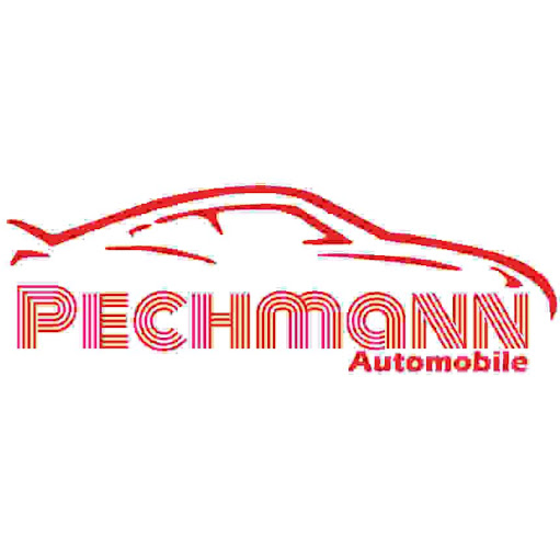 Pechmann Automobile logo