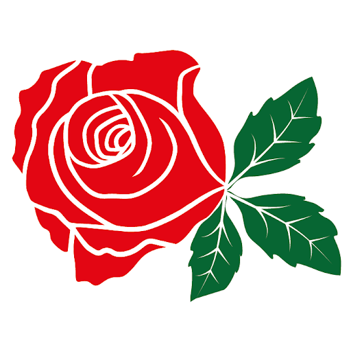Red Rose Parrucchieri Paese logo