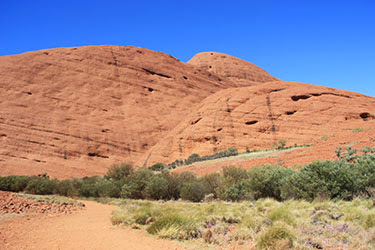AUSTRALIA: EL OTRO LADO DEL MUNDO - Blogs de Australia - El Red Center: Uluru-Olgas-Kings Canyon (8)