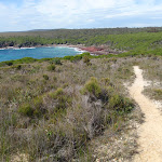 View of Hegartys Bay (106330)