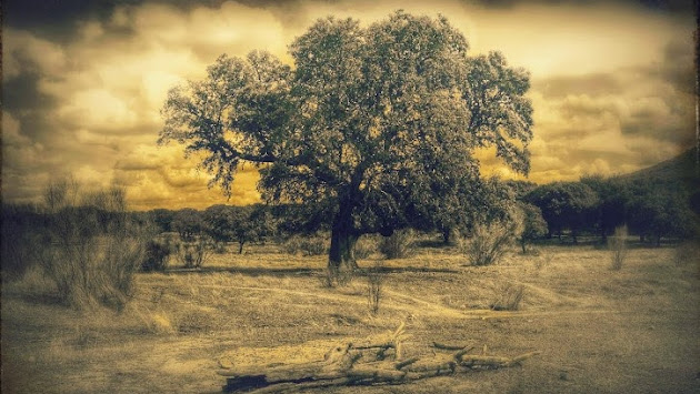 Cover photo