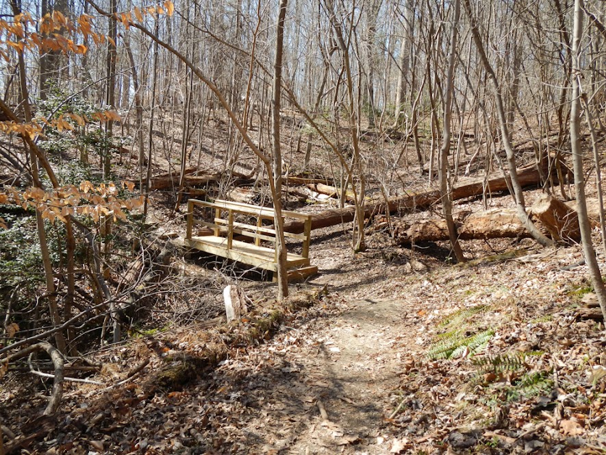 Section 1 of the Falls Lake Trail