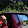 Jeannie Danna Jeannie Danna's profile photo