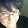 Elise Tobler Elise Tobler's profile photo