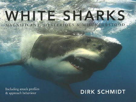 White Sharks by Dirk Schmidt