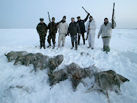 Wolf hunting game in Belarus