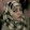 zarmina malik zarmina malik's profile photo