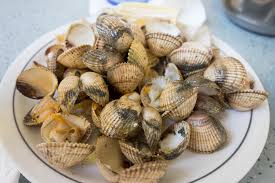 Image result for cockles