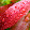 bharath s bharath s's profile photo