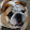 peter k peter k's profile photo