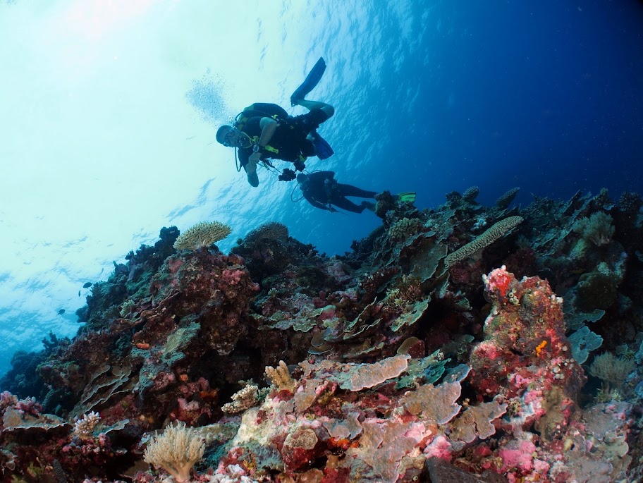 111104%252520Palau76.JPG