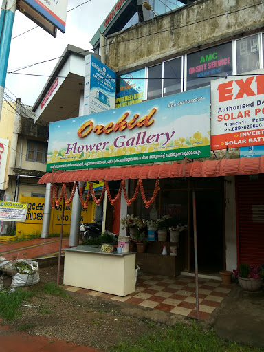 Orchid Flower Gallery, Near UCO Bank, Aramanpady, Palace Rd, Changanassery, Kottayam, Kerala 686101, India, Dried_Flower_Shop, state KL