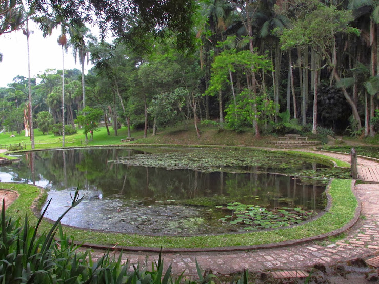  Jardim Botânico uns dos parque mais lindos de São Paulo... cont