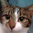 Jan Reidmiller avatar image