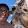 Adam Sooley Adam Sooley's profile photo