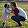 Danielle Peebles Danielle Peebles's profile photo