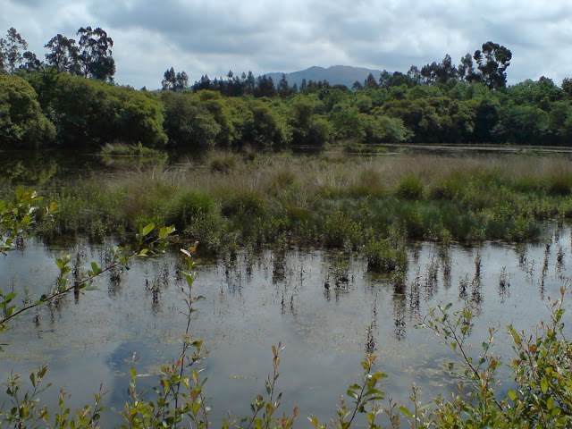 Bertiandos and São Pedro de Arcos Lagoons Protected Landscape