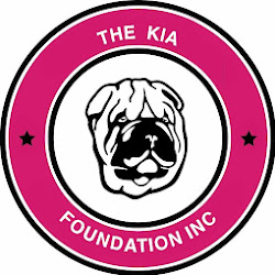 Thekiafoundation - logo