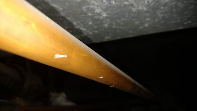 Photos of Le Boto Du Romais