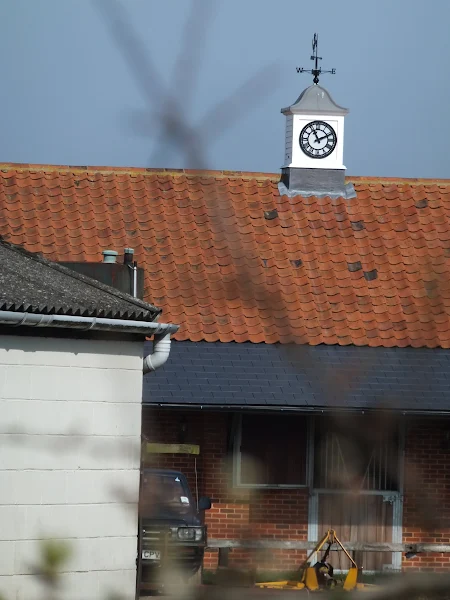 Clock tower on buildings alongside radio mast