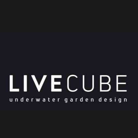 Livecube Aquarium