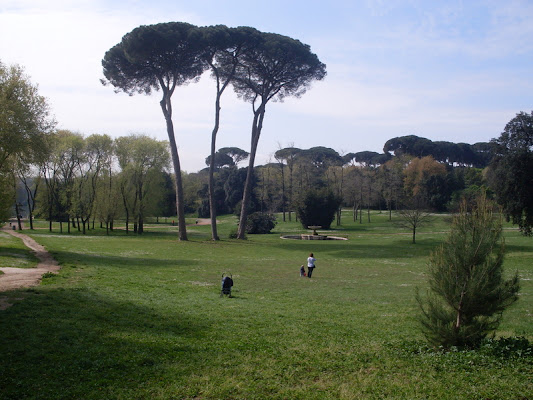 Parco Regionale Urbano Pineto, Via della Pineta Sacchetti, 78, Roma Rome, Italy