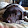 Paul Ireland Paul Ireland's profile photo