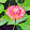 Bich Ngoc Tran Bich Ngoc Tran's profile photo