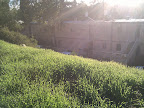 IMG_20121206_075128.jpg