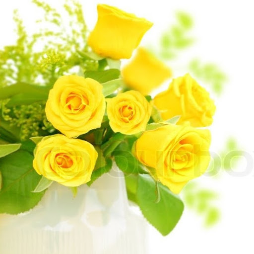 Image pertaining to POOVITHA DEVAN
