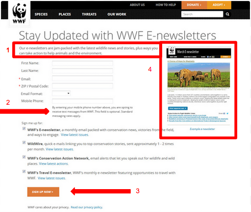 The image shows the new version of the website of WWF.